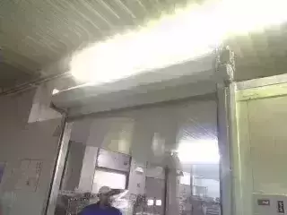 Biotropic - Duisburg